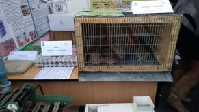 dosjahnennja-tss-apk-z-nahody-235-ji-richnyci-zasnuvannja-mista-melitopolja-2