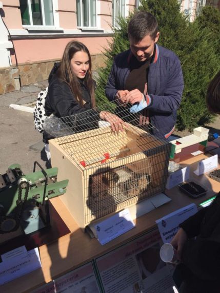 IMG-0c301c5d8c3143563d93809ebdf30dde-V