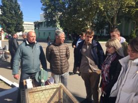 IMG-51f9a8b1f73bf15bdc75bd1989bd8abf-V