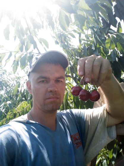 kafedra-tss-apk-zbyrannja-chereshni-v-sadah-tdatu-2019-1