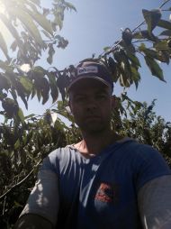 kafedra-tss-apk-zbyrannja-chereshni-v-sadah-tdatu-2019-5