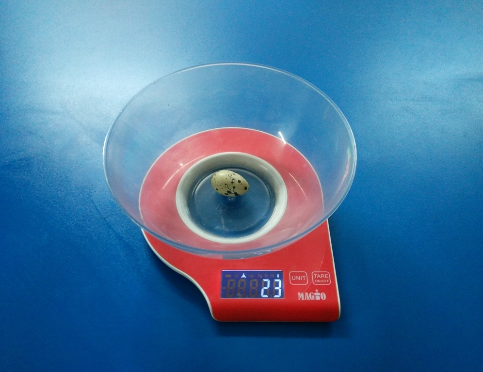 rekord-laboratoriji-z..3