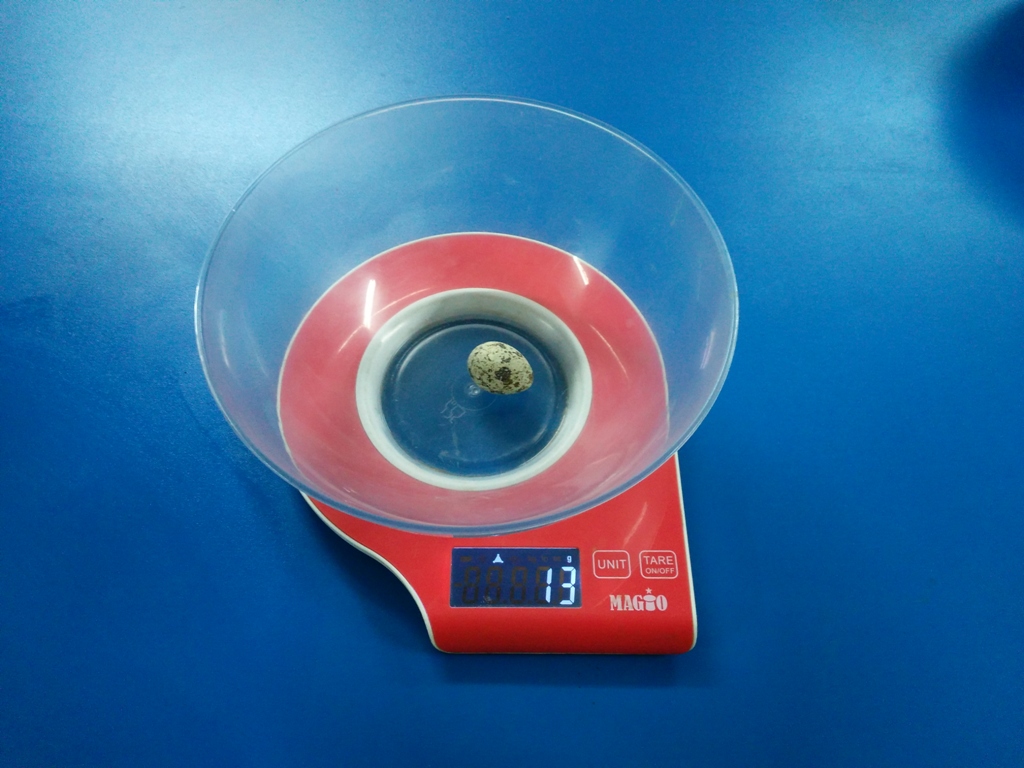 rekord-laboratoriji-z..4