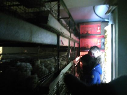 uchni-melitopolskoho-rajonu-2