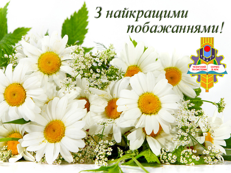 Вітаємо З Днем Народження Дашиивець!