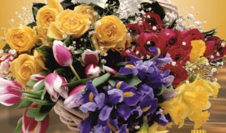 Вітаємо З Днем Народження Паніна!