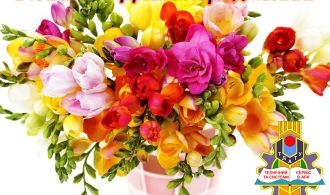 Вітаємо З Днем Народження Сорваніді!