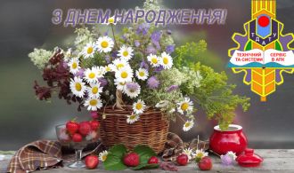 Вітаємо З Днем Народження В'юника!