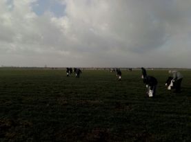 vykladachi-tss-apk-doluchylys-do-porjatunku-majbutnoho-vrozhaju-2020-2