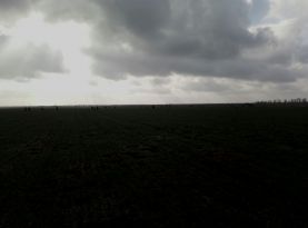 vykladachi-tss-apk-doluchylys-do-porjatunku-majbutnoho-vrozhaju-2020-3