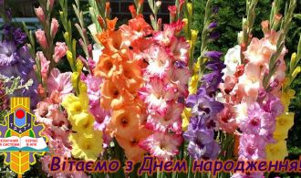 Вітаємо З Днем Народження Комара!