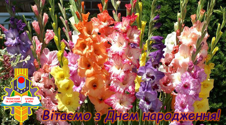 З Днем народження Артем