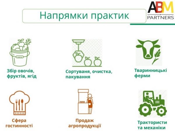 Безымянный