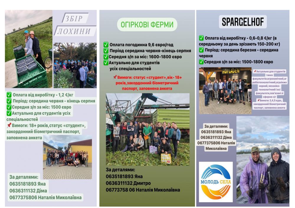 буклет-МолодьСела