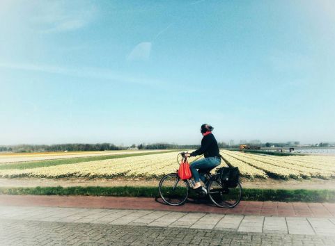 img-54864cd7aeccc8e3fe472cd5d86255bc-v-2-481x354