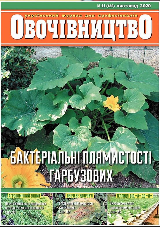 15 овочівництво №11 2020
