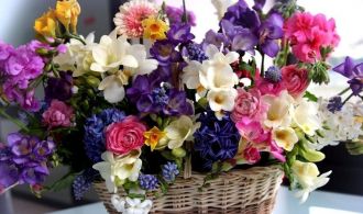 166e4731-f6a2-4db7-babf-50d1216cd6c5