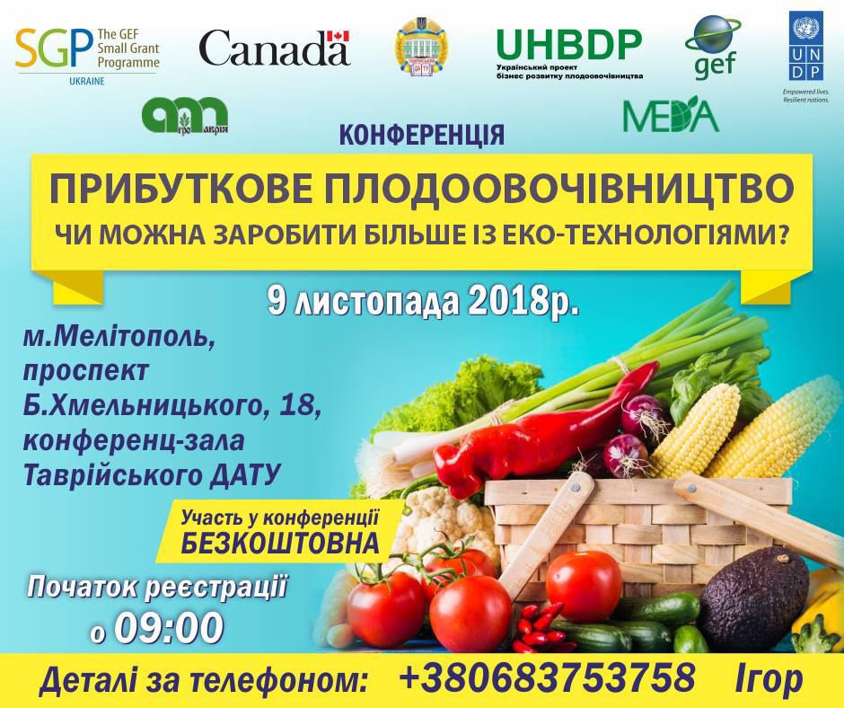 45155430_2267088580028101_2754513872982376448_n