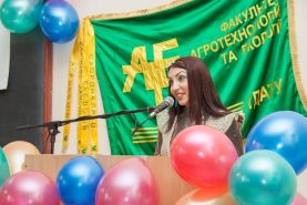 53734513_2339913092910152_7209431914363486208_n