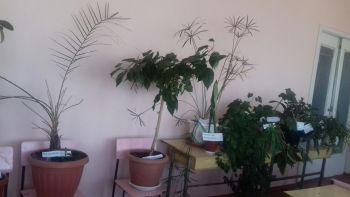 72848690_615522675647129_2069619137918795776_n