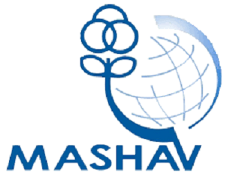 Без названия