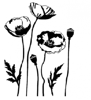 Безымянный