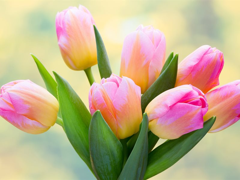 d3ac5ef4b34555bb024d727c72f17e34-800x600