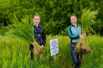 досл. поле 2