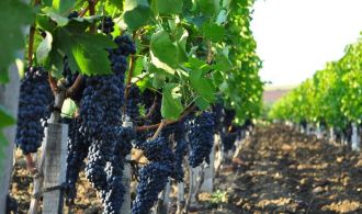 DSC_0642yvgyugefuer8tyer9t8uhw09tu8wt------w9ehtrrweht_1010x505_0c1