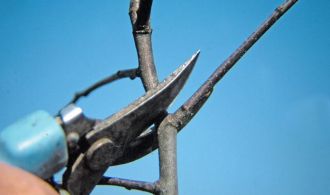 e9f04cf83c01c00d588286b697c6fad8