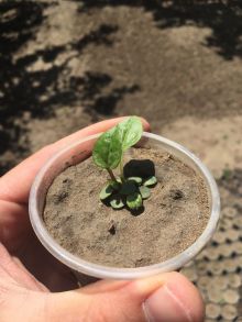 img-427d06b2925329fcb06bbd16fb3f9ec0-v