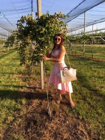 IMG-65741fee25858524f6f4f8624ffa3901-V