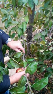 img_20171012_093217-e1508003202309