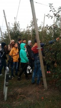 img_20171012_094406-e1508003181210