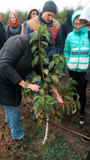 img_20171012_103246-e1508003155970