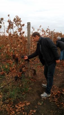 img_20171012_104446-e1508003143874