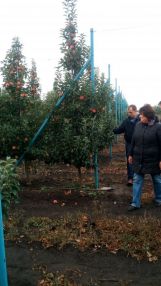 img_20171012_132517-e1508003063176