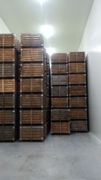 img_20171012_141131-e1508003036192