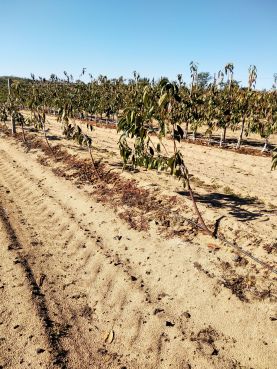 IMG_20191009_102752-min