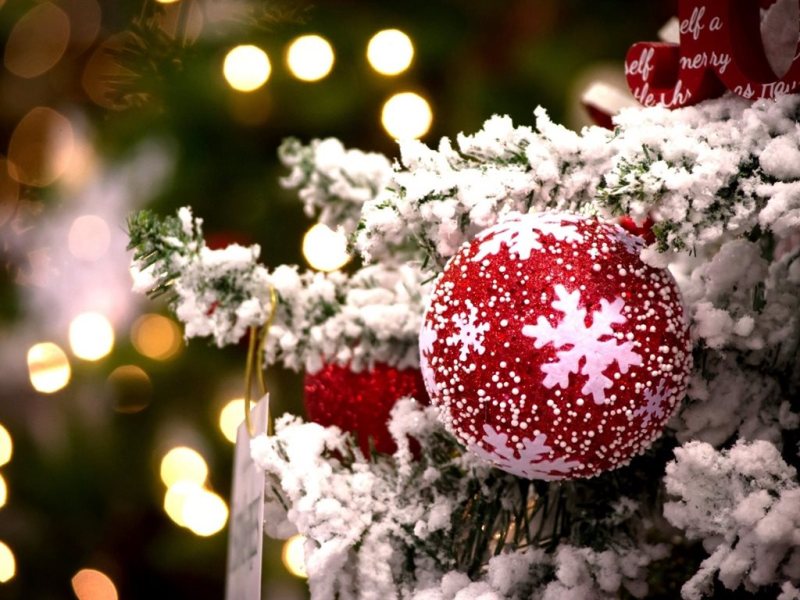 Копия 0d0c5efc4b6c86a566bdedc408819c9f-1024x768