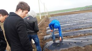 photo165367368_456239439