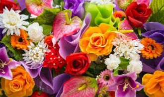 shutterstock_115679980-850x525