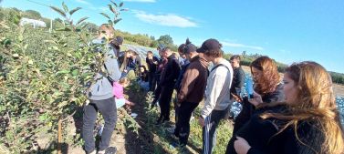 зображення_viber_2024-09-19_12-40-26-850