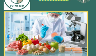 зображення_2024-06-21_115210908